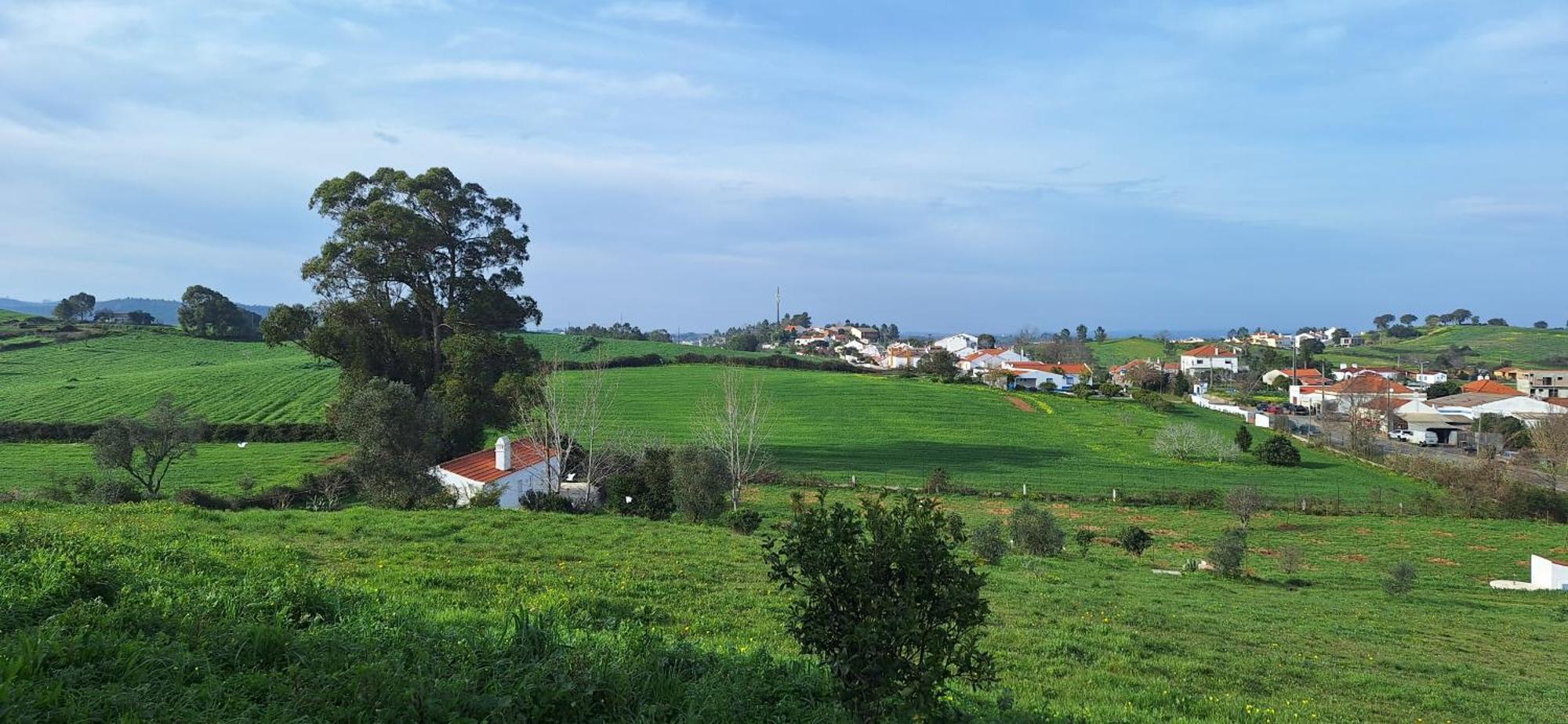 Portela Guesthouse Cercal do Alentejo Exterior foto